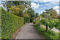 Footpath to All Saints