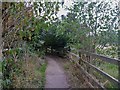 Bridleway alongside road [1]