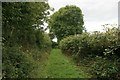 Bridleway, The Mount