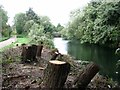 The River Wensum past the site of the Norwich City railway station