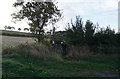 Bridleway off Denaby Lane