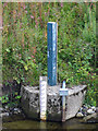 Depth gauge on Killhope Burn above Wearhead