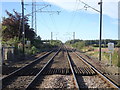 Fallodon private railway station (site), Northumberland