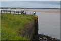 Fishing from the end of Fremington Quay