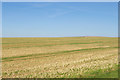 Downland fields off Grand Avenue