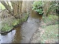 The Bourne: From Beldam Bridge in West End, Chobham