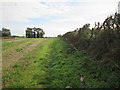 Peddars  Way  on  field  edge  footpath