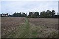 Bridleway approaching Newman