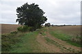 Footpath near Housham Hall