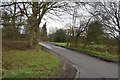 Road across Bell Common