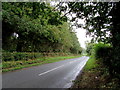 B4385 passing through woodland