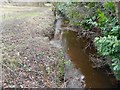 Trulley Brook: From the Lucas Green road bridge in West End, Chobham (1)