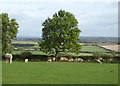 View from Stony Bank near Redworth