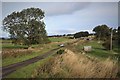 NN9108 : Minor road between Gleneagles and Blackford by Alan Reid