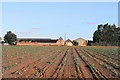 Crops at Flete Farm