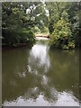 River Tamar, Gunnislake