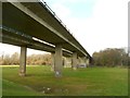 TQ5646 : A21 Tonbridge Bypass: River Medway Viaduct by Nigel Cox