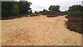 Sandy patch on Kingsley Common, Hampshire - 140918