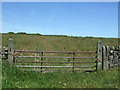 Field entrance off the B6282, Hindon Hill