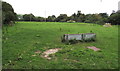 Field on the east side of Frome Lane, Maiden Newton