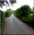 Frome Lane towards Frome Bridge, Maiden Newton