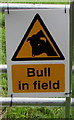 Bull in field notice, Frome Lane, Maiden Newton