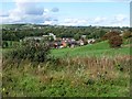 Houses on Waterfold Lane, Heap Bridge