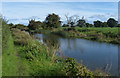 Lancaster Canal at Moor Side