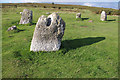 SD2973 : Stone circle, Birkrigg Common by Ian Taylor