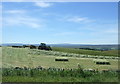 Baling silage near Windy Hill