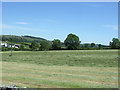 NZ0522 : Cut silage field near Marwood Green by JThomas