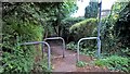 Path off Congleton Road, Alderley Edge