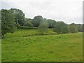 Field north of A379