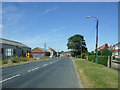 Staindrop Road, West Auckland