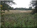 Waste ground, Togston