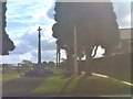 Cenotaph View