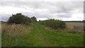 A green lane, Gloster Hill