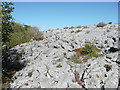 R3094 : Limestone pavement in the Burren National Park by Humphrey Bolton