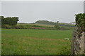 Field on the edge of Thurlestone