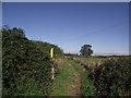 Footpath from Sutton in the Elms to Croft