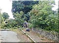 Removing fallen trees above the Creggan Gorge