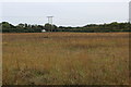 Fallow Field North of Garforth