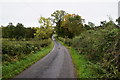 Drumconnelly Road, Tattyreagh Glebe