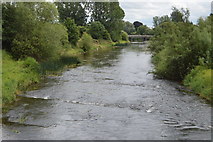 N8056 : River Boyne by N Chadwick