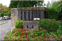 S0524 : Remembrance plaques in Cahir Memorial Garden, Co. Tipperary by P L Chadwick