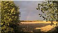 TF1606 : Rainbow over Peakirk by Paul Bryan