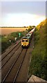 TF1504 : Freight train viewed from Hurn Bridge, Werrington by Paul Bryan