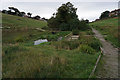 Small pond, Deep Dale, Eastfield, Seamer