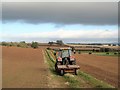 Farm track, Yafforth