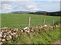 Grazing land on the east side of Coolderry Road